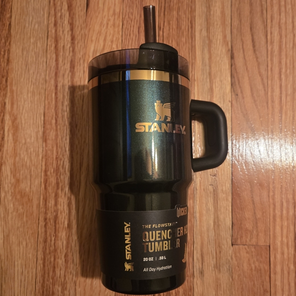 Wicked Stanley Elphaba For Good 20oz Tumbler New